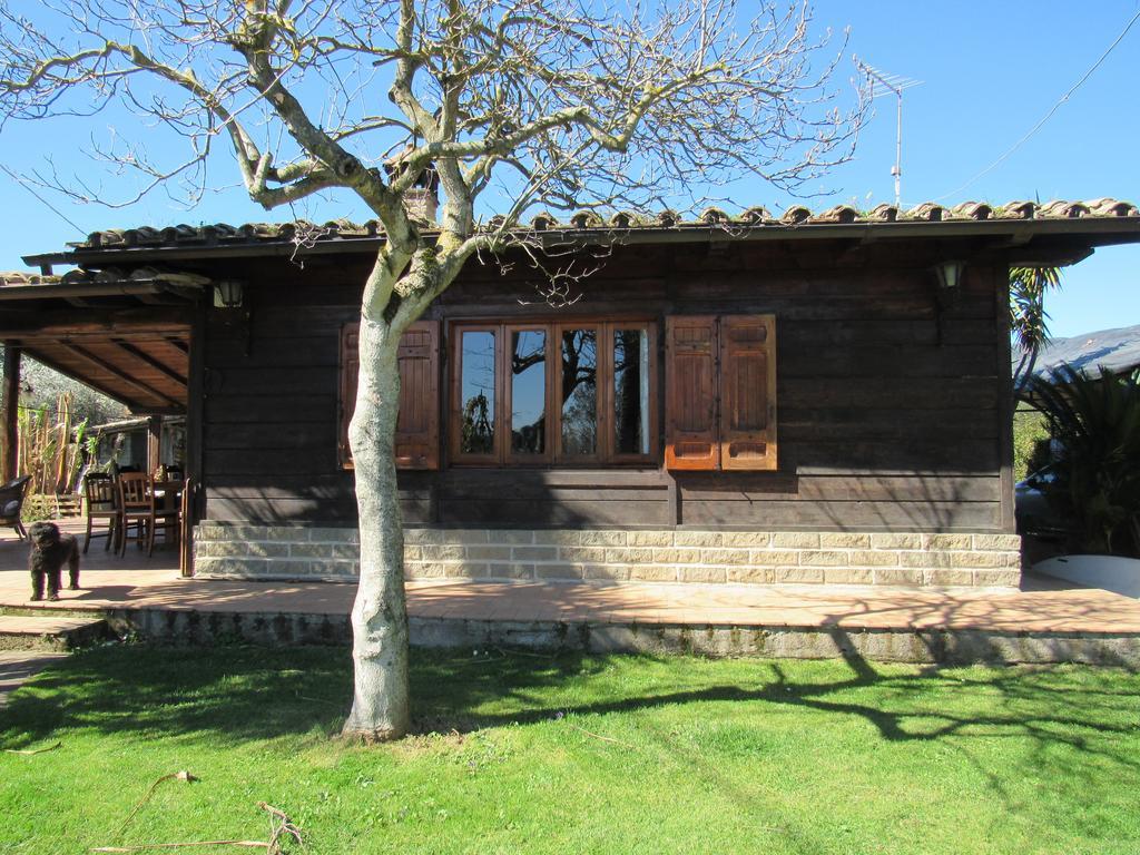 The Lake Chalet Bracciano  Ngoại thất bức ảnh